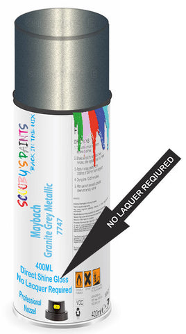 paint for Maybach 