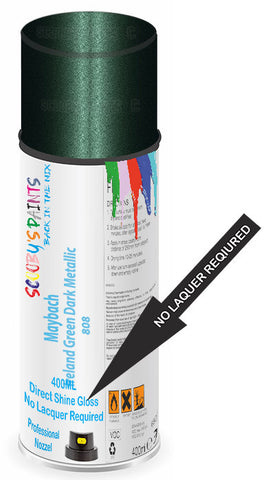 paint for Maybach 