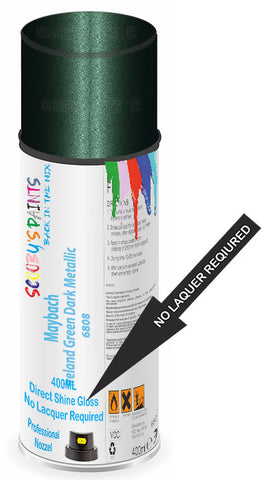 paint for Maybach 