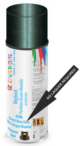 paint for Maybach S-Class
