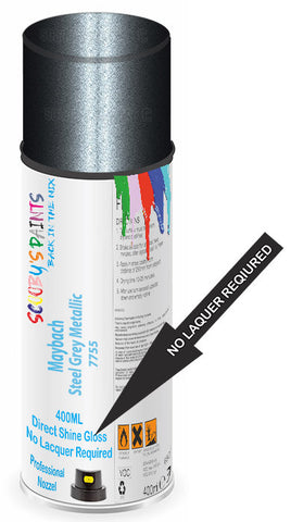 paint for Maybach 