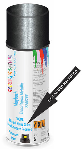 paint for Maybach S-Class