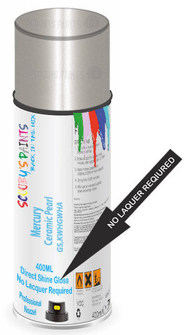 paint for Mercury All
