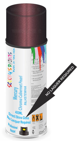 paint for Mercury All