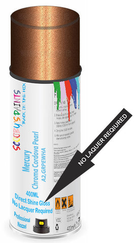paint for Mercury All