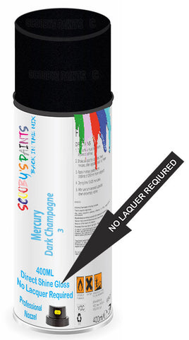 paint for Mercury Lynx