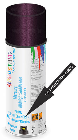 paint for Mercury Villager