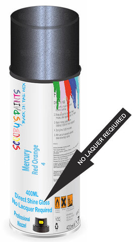 paint for Mercury Lynx