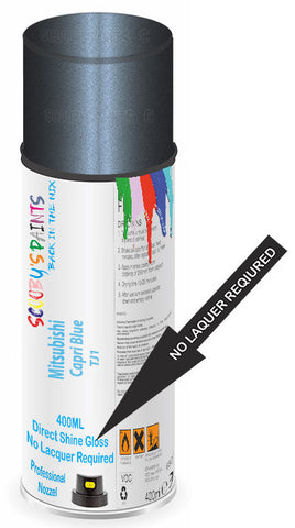 paint for Mitsubishi Canter