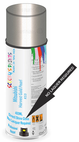 paint for Mitsubishi Rvr