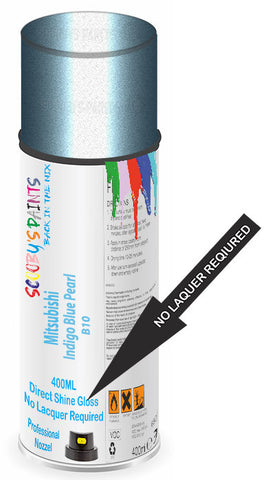 paint for Mitsubishi Dignity