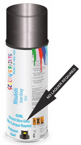 paint for Mitsubishi Canter
