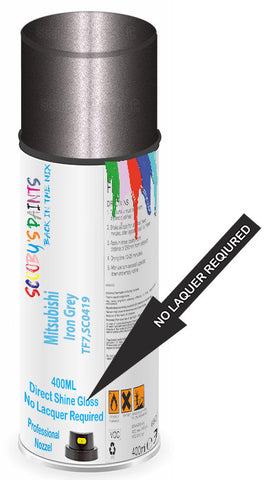 paint for Mitsubishi Canter