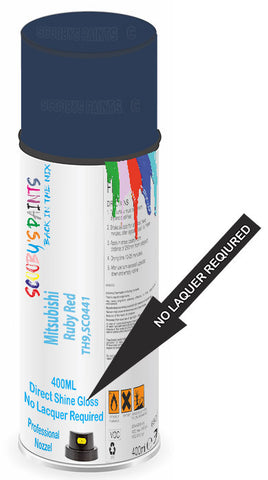 paint for Mitsubishi Canter