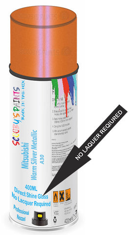 paint for Mitsubishi Canter