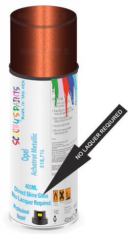 paint for Opel Rekord