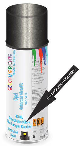 paint for Opel Monza
