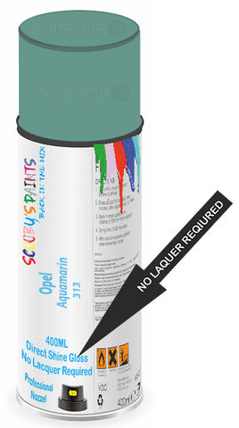 paint for Opel Rekord
