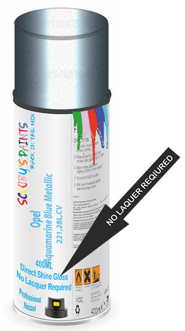 paint for Opel Rekord