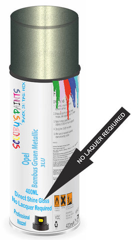 paint for Opel Vectra