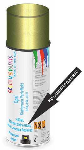 paint for Opel Astra