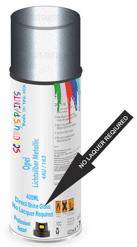 paint for Opel Meriva Opc