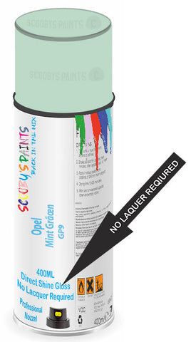 paint for Opel Karl Rocks