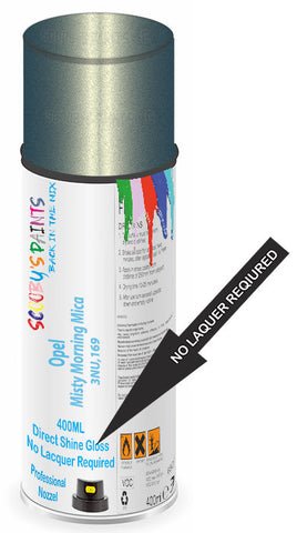 paint for Opel Astra