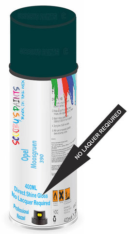 paint for Opel Vivaro