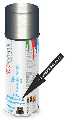 paint for Opel Antara