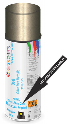 paint for Opel Astra