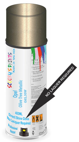 paint for Opel Astra