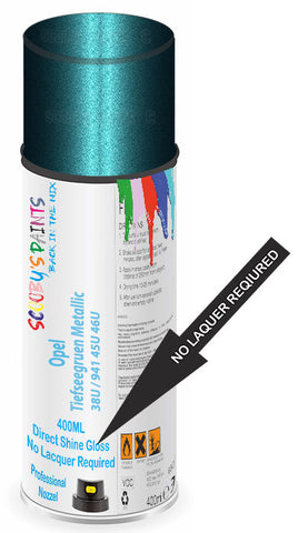 paint for Opel Arena