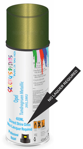 paint for Opel Agila