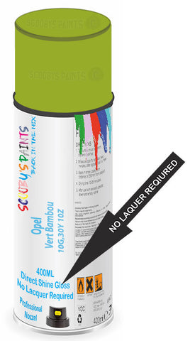 paint for Opel Vivaro