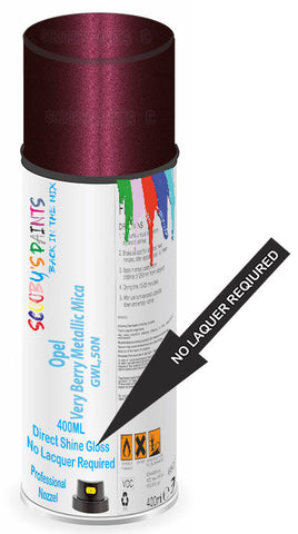 paint for Opel Cascada