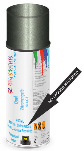 paint for Opel Astra