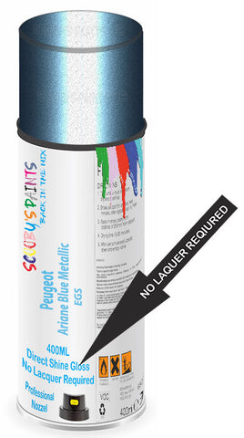 paint for Peugeot 406 Coupe