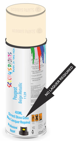 paint for Peugeot 404