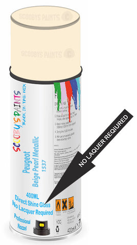 paint for Peugeot 504