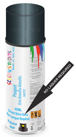 paint for Peugeot 806
