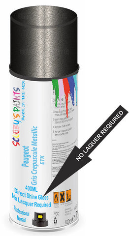 paint for Peugeot 406 Coupe