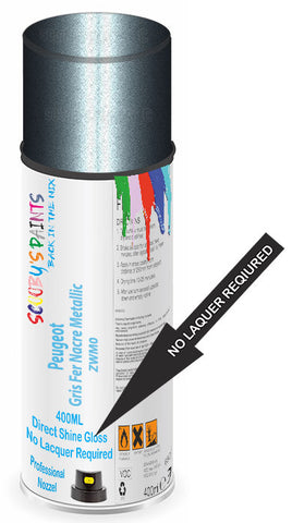 paint for Peugeot Grand Raid