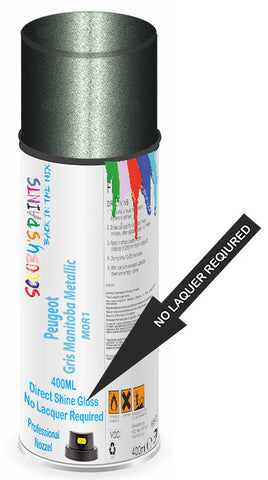 paint for Peugeot 207 Sw
