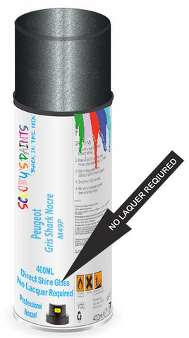 paint for Peugeot 207 Sw