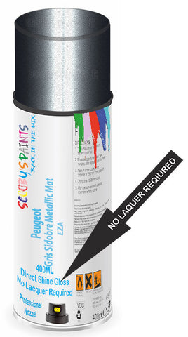 paint for Peugeot Rcz