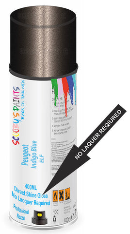 paint for Peugeot J5