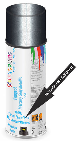 paint for Peugeot 206 Cc