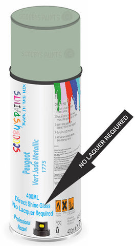 paint for Peugeot 104