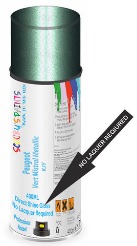 paint for Peugeot 2008